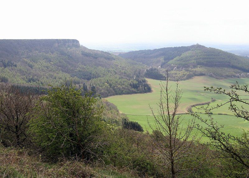 View across the wooded escarpment and green fields of the Vale of York from the Hambleton Hills